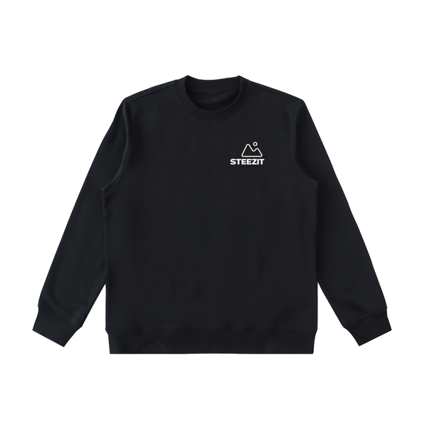 STEEZIT1